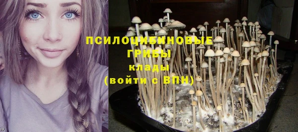 кокс Белокуриха