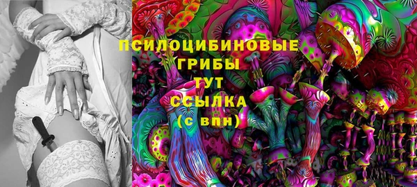 кокс Белокуриха