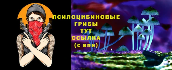 кокс Белокуриха