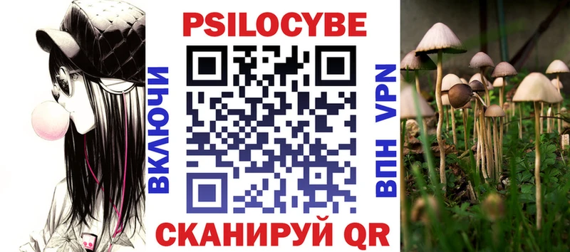 Псилоцибиновые грибы Psilocybine cubensis  ОМГ ОМГ ТОР  Купино 
